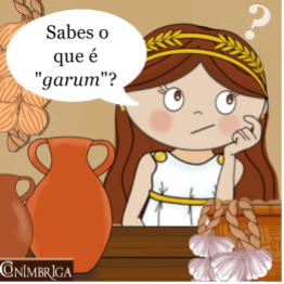 Garum 4